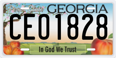 GA license plate CEO1828