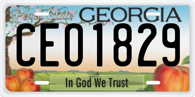 GA license plate CEO1829