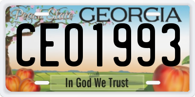 GA license plate CEO1993