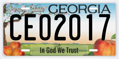GA license plate CEO2017
