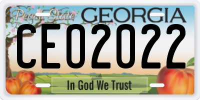 GA license plate CEO2022