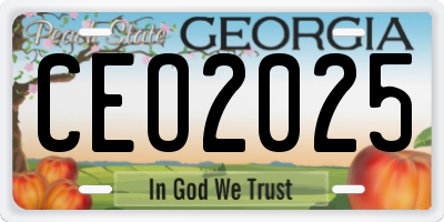 GA license plate CEO2025