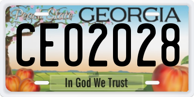 GA license plate CEO2028