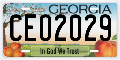 GA license plate CEO2029