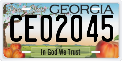 GA license plate CEO2045