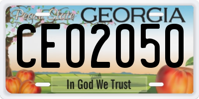 GA license plate CEO2050