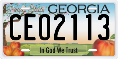 GA license plate CEO2113