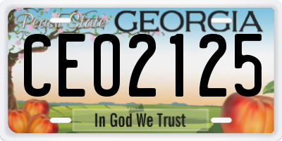 GA license plate CEO2125