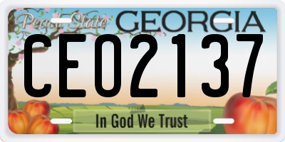 GA license plate CEO2137