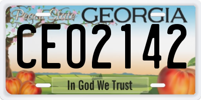 GA license plate CEO2142