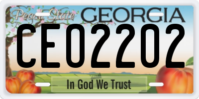 GA license plate CEO2202