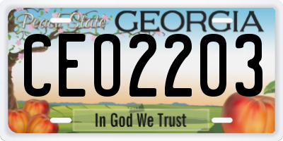 GA license plate CEO2203