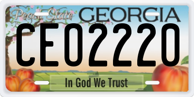 GA license plate CEO2220