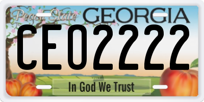 GA license plate CEO2222