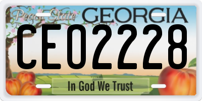 GA license plate CEO2228