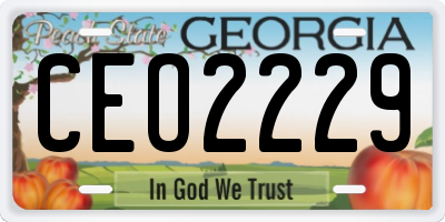 GA license plate CEO2229