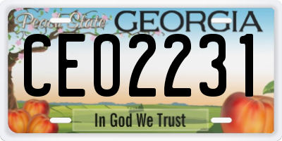 GA license plate CEO2231
