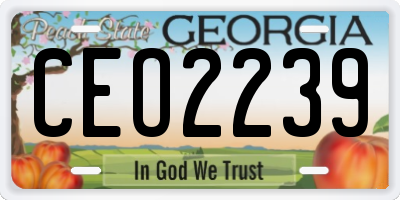 GA license plate CEO2239