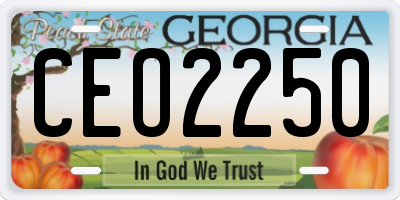 GA license plate CEO2250