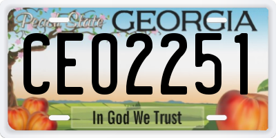 GA license plate CEO2251