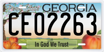 GA license plate CEO2263