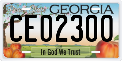 GA license plate CEO2300