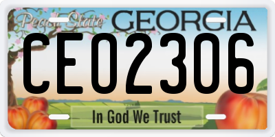 GA license plate CEO2306