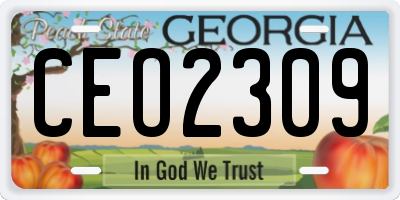 GA license plate CEO2309