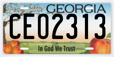 GA license plate CEO2313