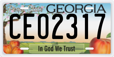 GA license plate CEO2317