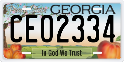 GA license plate CEO2334