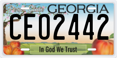 GA license plate CEO2442