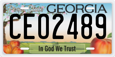 GA license plate CEO2489