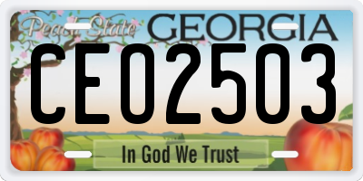 GA license plate CEO2503