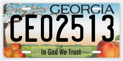 GA license plate CEO2513