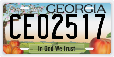 GA license plate CEO2517