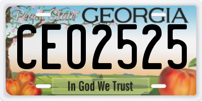 GA license plate CEO2525