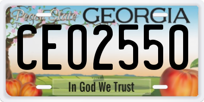 GA license plate CEO2550