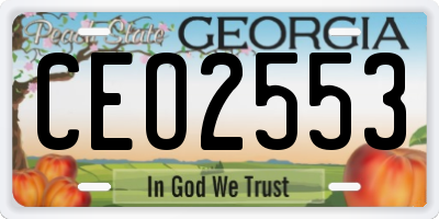 GA license plate CEO2553