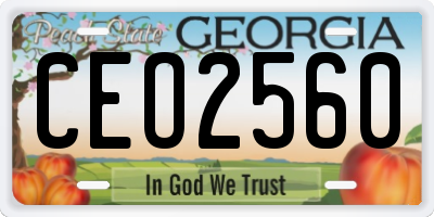 GA license plate CEO2560