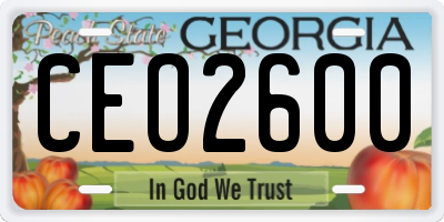 GA license plate CEO2600