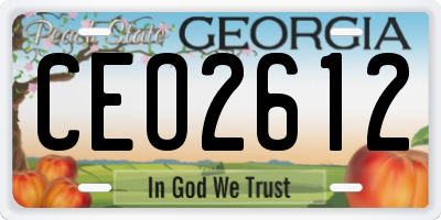 GA license plate CEO2612
