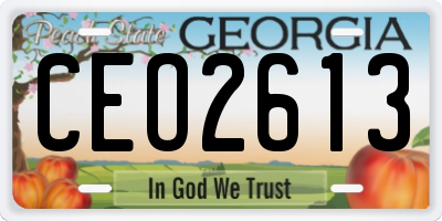 GA license plate CEO2613