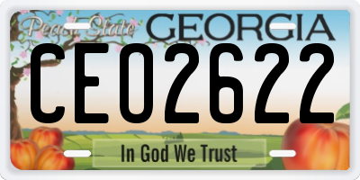GA license plate CEO2622