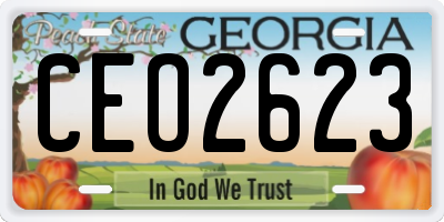 GA license plate CEO2623
