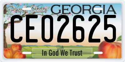 GA license plate CEO2625