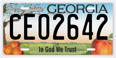 GA license plate CEO2642