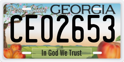 GA license plate CEO2653
