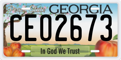 GA license plate CEO2673