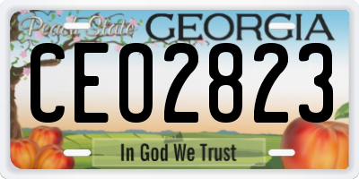 GA license plate CEO2823